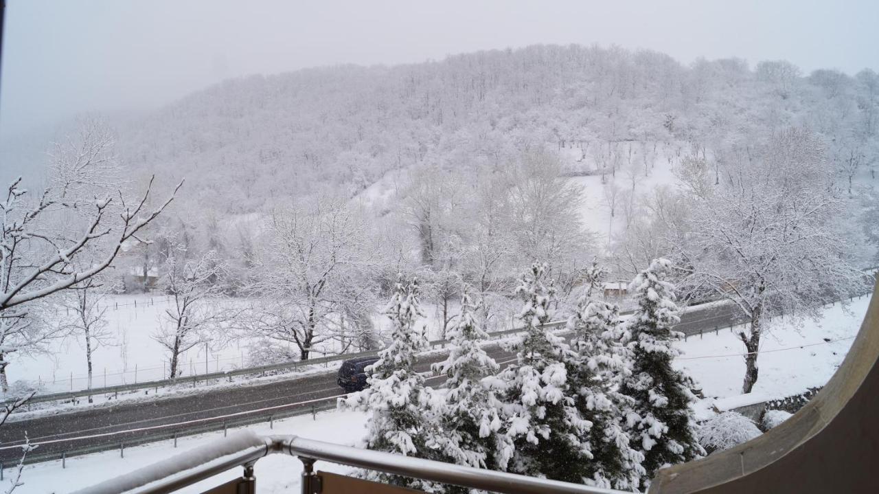 Gabala Yeddi Gozel Hotel Dış mekan fotoğraf