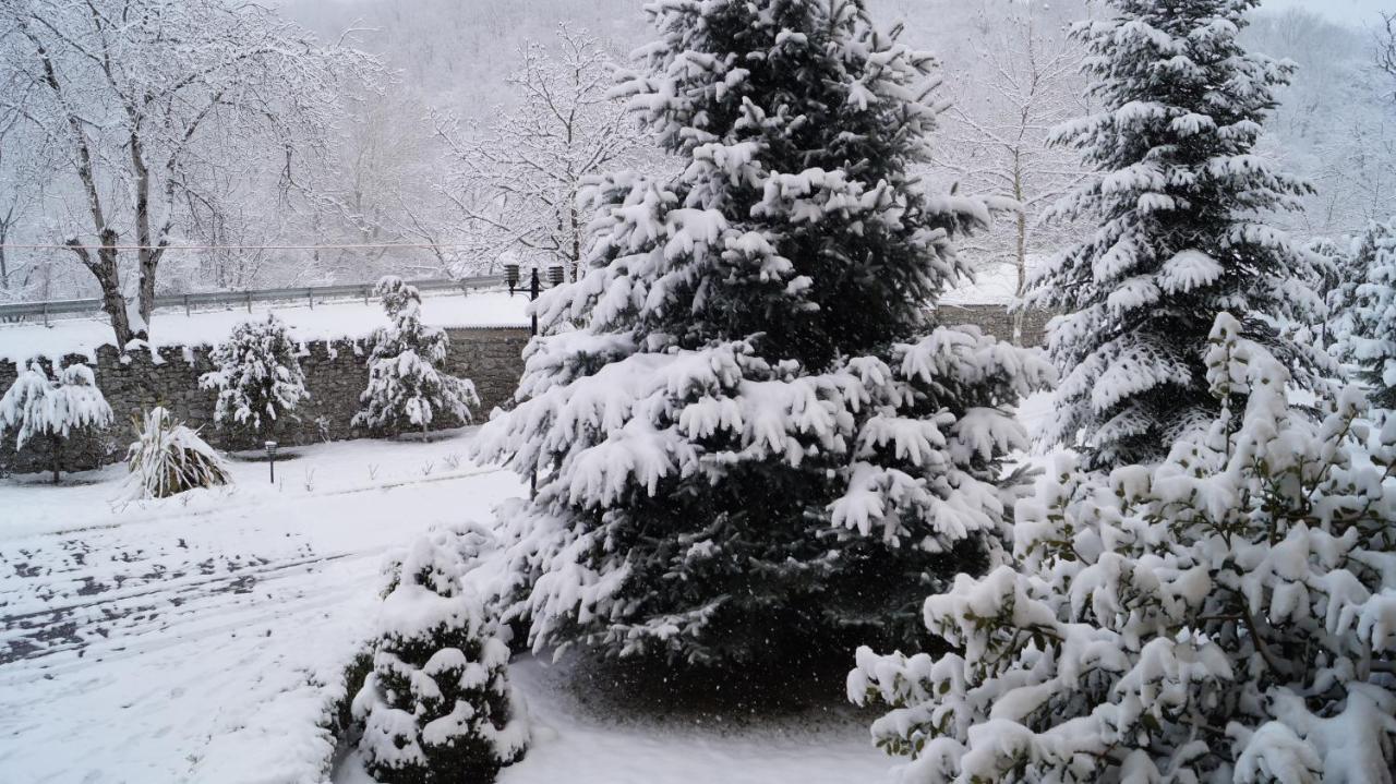 Gabala Yeddi Gozel Hotel Dış mekan fotoğraf