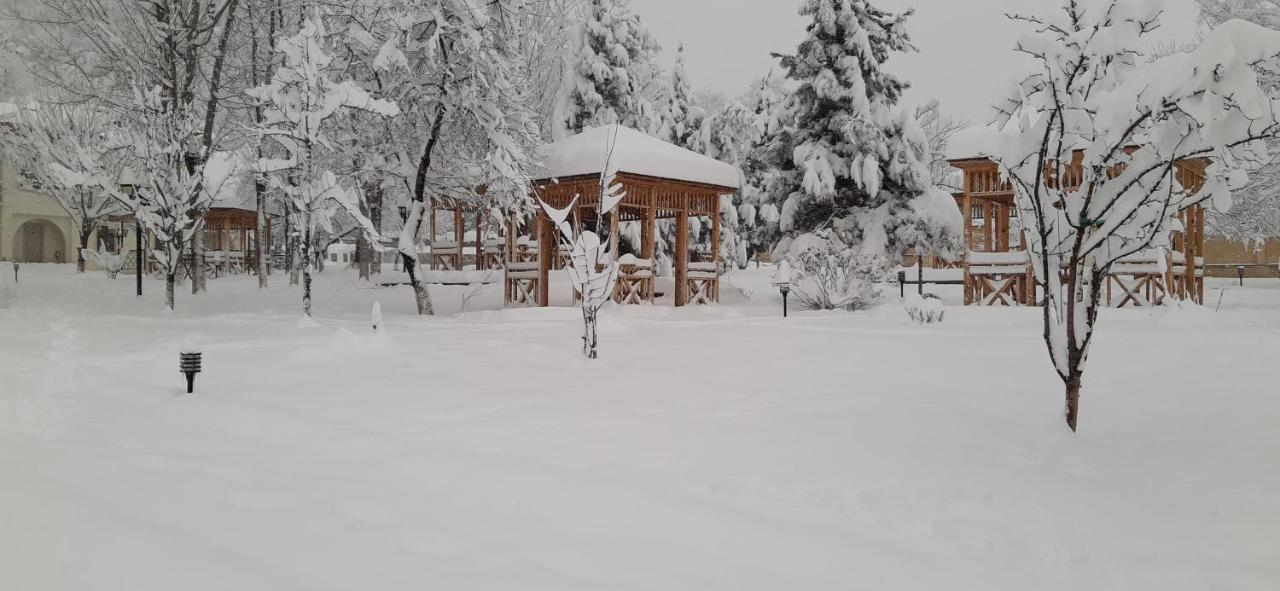 Gabala Yeddi Gozel Hotel Dış mekan fotoğraf