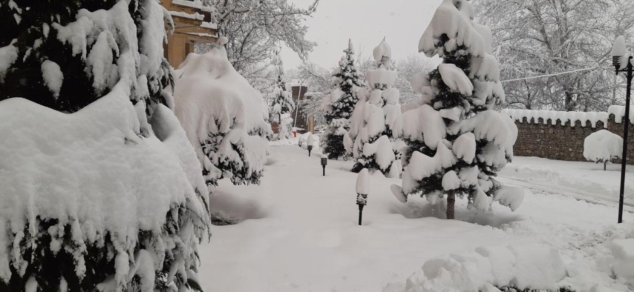 Gabala Yeddi Gozel Hotel Dış mekan fotoğraf